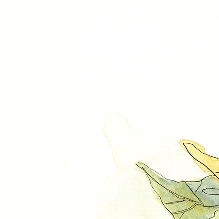 Vlies Fototapete | Girasol  | Größe 200 x 250 cm