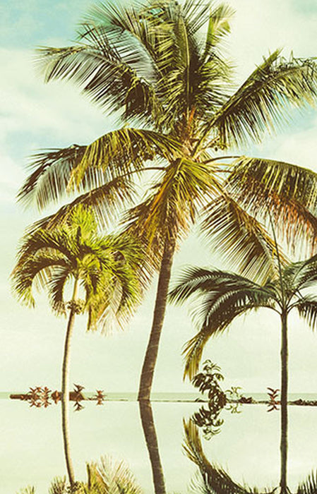 Komar | Vlies Fototapete | Key West Panel | Größe 100 x 250 cm