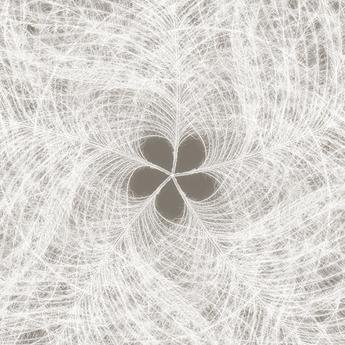 Vlies Fototapete | Federstern | Größe 368 x 248 cm