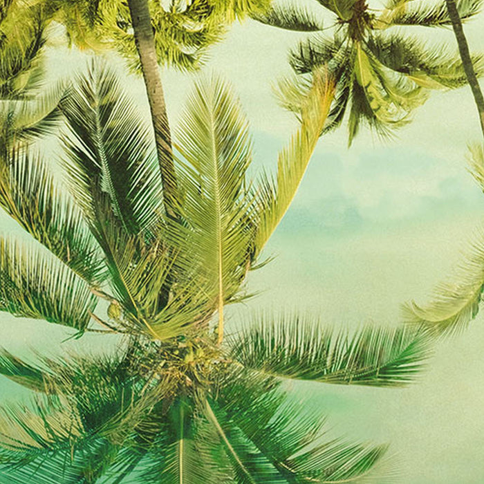Komar | Vlies Fototapete | Key West | Größe 400 x 250 cm