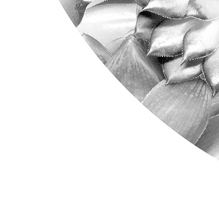 Komar | Selbstklebende Vlies Fototapete/Wandtattoo | Echeveria | Größe 125 x 125 cm