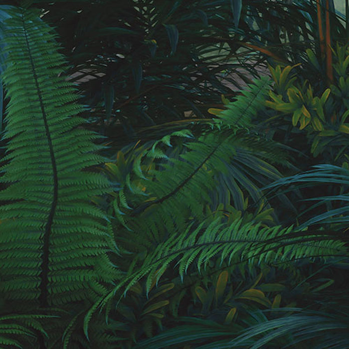 Vlies Fototapete | Jungle Morning | Größe 400 x 250 cm