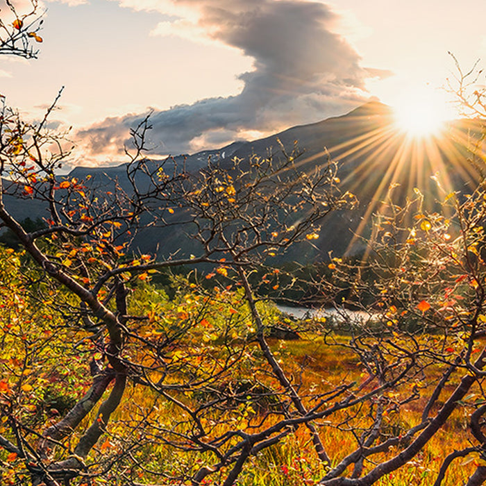 Komar | Vlies Fototapete | Norwegische Herbstwelten | Größe 450 x 280 cm