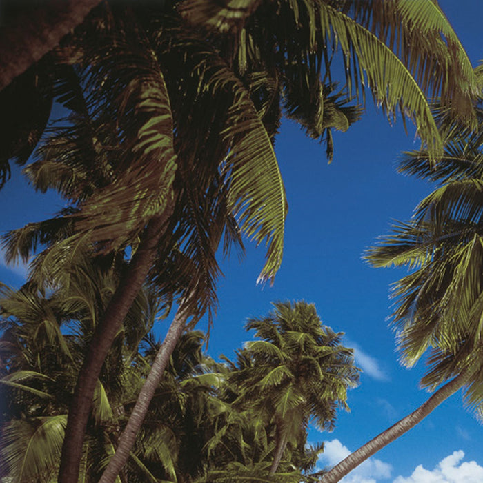 Papier Fototapete | Maldives | Größe 368 x 254 cm