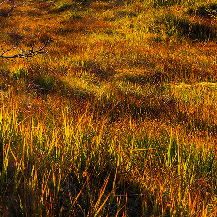 Vlies Fototapete | Norwegische Herbstwelten | Größe 450 x 280 cm