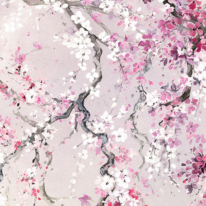 Komar | Vlies Fototapete | Kirschblüten | Größe 300 x 280 cm