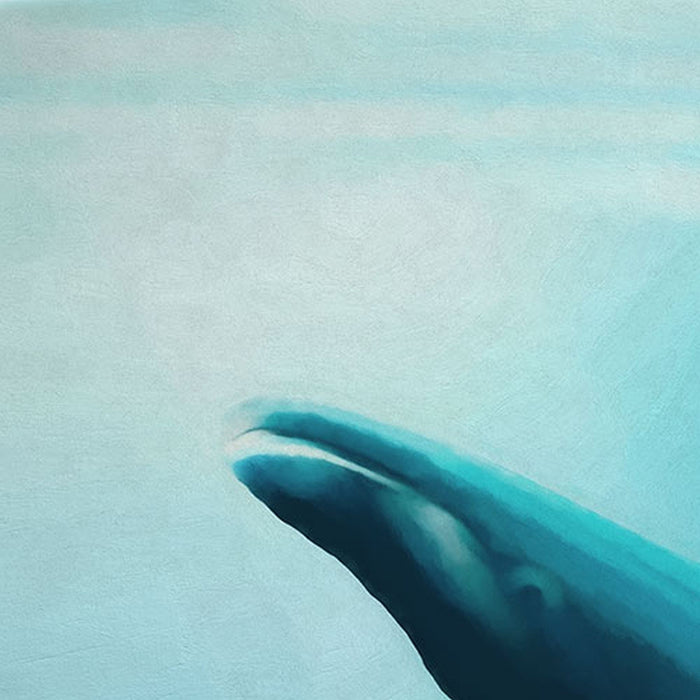 Komar | Vlies Fototapete | Artsy Humpback Whale | Größe 200 x 280 cm