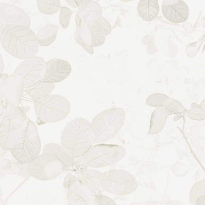 Vlies Fototapete | Sheer Grey | Größe 400 x 250 cm