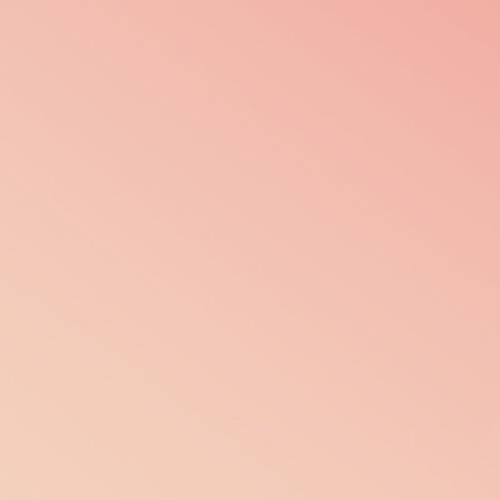 Vlies Fototapete | Flamingos and Lillys | Größe 200 x 280 cm