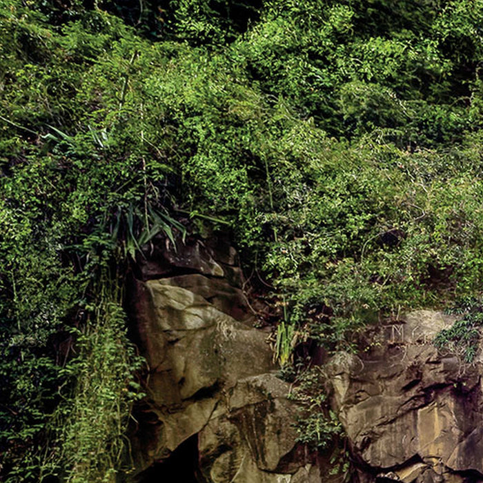 Komar | Vlies Fototapete | Cascade | Größe 368 x 248 cm
