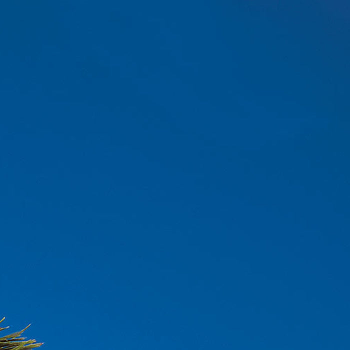 Vlies Fototapete | Maldives | Größe 300 x 250 cm