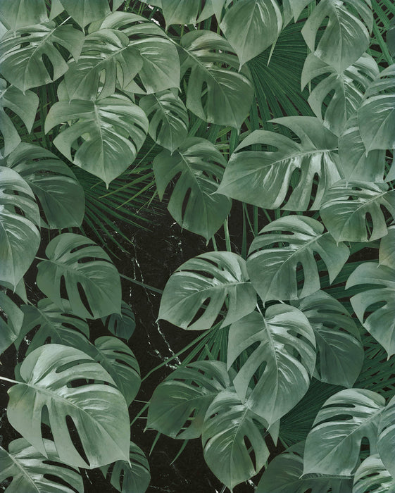 Vlies Fototapete | Monstera on Marble | Größe 200 x 250 cm
