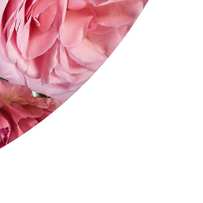 Komar | Selbstklebende Vlies Fototapete/Wandtattoo | Beautiful Blossoms | Größe 125 x 125 cm
