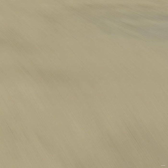 Komar | Papier Fototapete | Cars Beach Race | Größe 368 x 254 cm