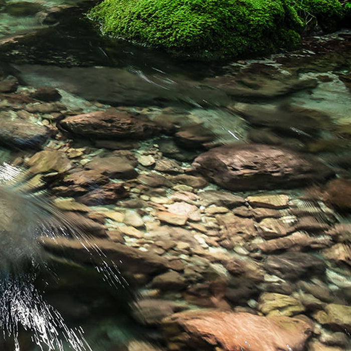 Vlies Fototapete | Tranquil Pool | Größe 400 x 250 cm