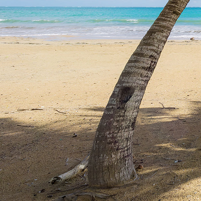 Vlies Fototapete | Caribbean Days II | Größe 450 x 280 cm