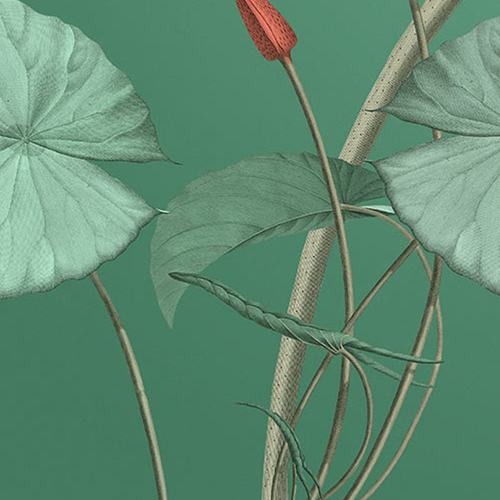 Vlies Fototapete | Blissful  | Größe 200 x 250 cm