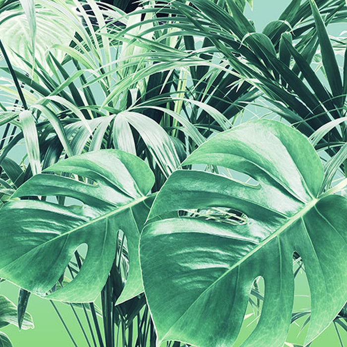 Komar | Vlies Fototapete | Evergreen | Größe 200 x 250 cm