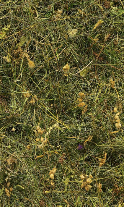 Vlies Fototapete | Bergheu | Größe 150 x 250 cm