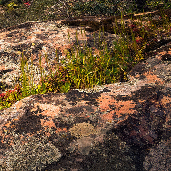 Vlies Fototapete | Rainbow Lands | Größe 450 x 280 cm