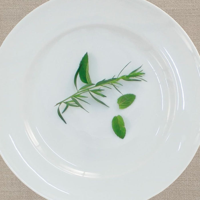 Apelt | Apart | Platzset | 35x48 | taupe / silber