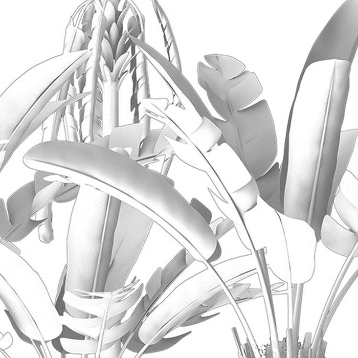 Vlies Fototapete | Musa | Größe 400 x 280 cm