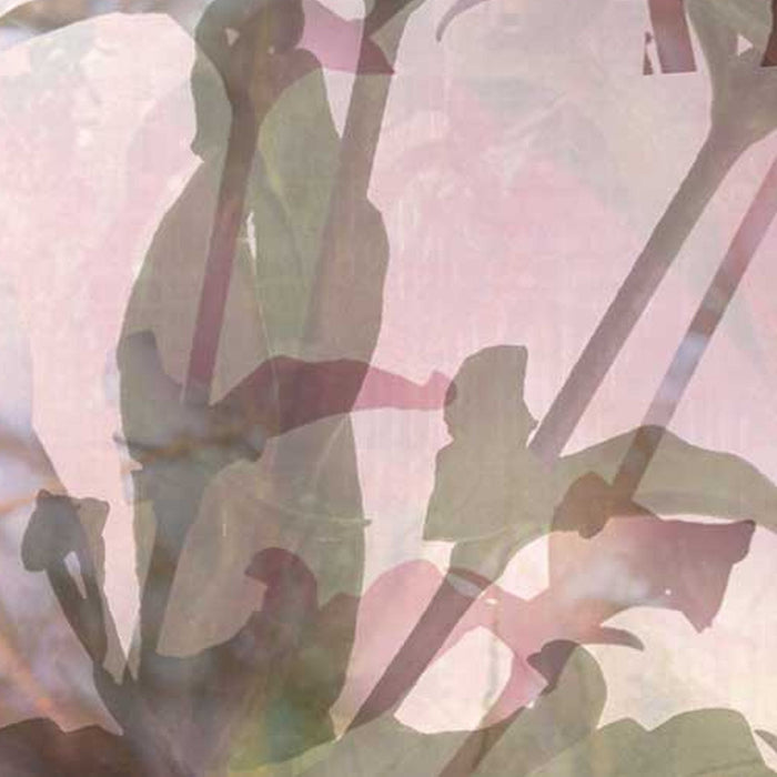 Vlies Fototapete | Sense | Größe 200 x 260 cm