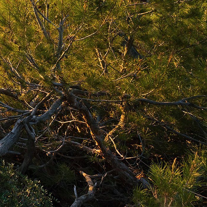 Vlies Fototapete | Licht des Südens | Größe 400 x 280 cm