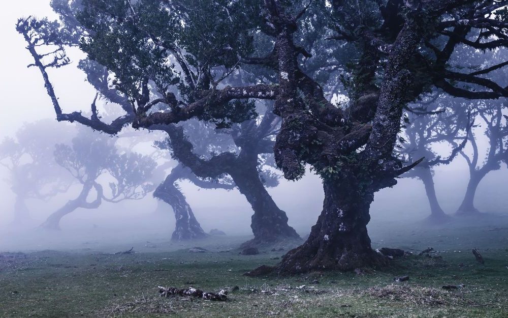 Vlies Fototapete | Ghost Line | Größe 400 x 250 cm