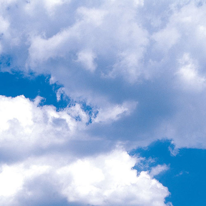 Vlies Fototapete | Meadow | Größe 100 x 280 cm