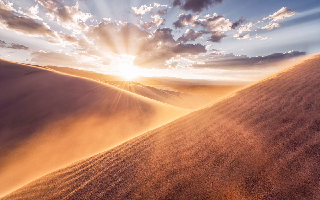 Vlies Fototapete | Gently Touched | Größe 400 x 250 cm