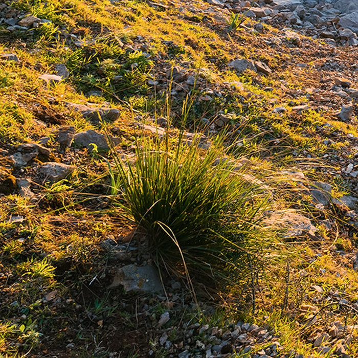 Vlies Fototapete | Licht des Südens | Größe 400 x 280 cm