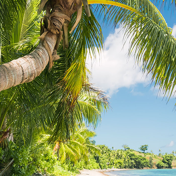 Vlies Fototapete | Fiji Dreams Boat  | Größe 450 x 280 cm