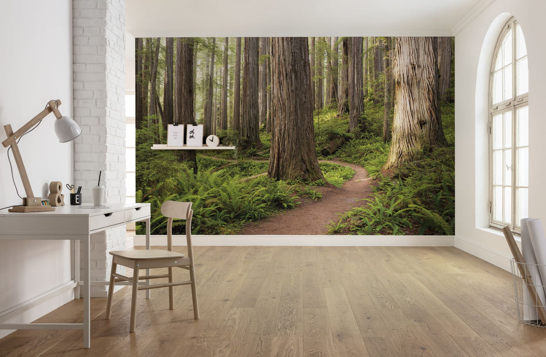 Komar | Vlies Fototapete | Redwood Trail | Größe 450 x 280 cm