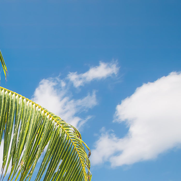 Vlies Fototapete | Fiji Dreams Boat  | Größe 450 x 280 cm