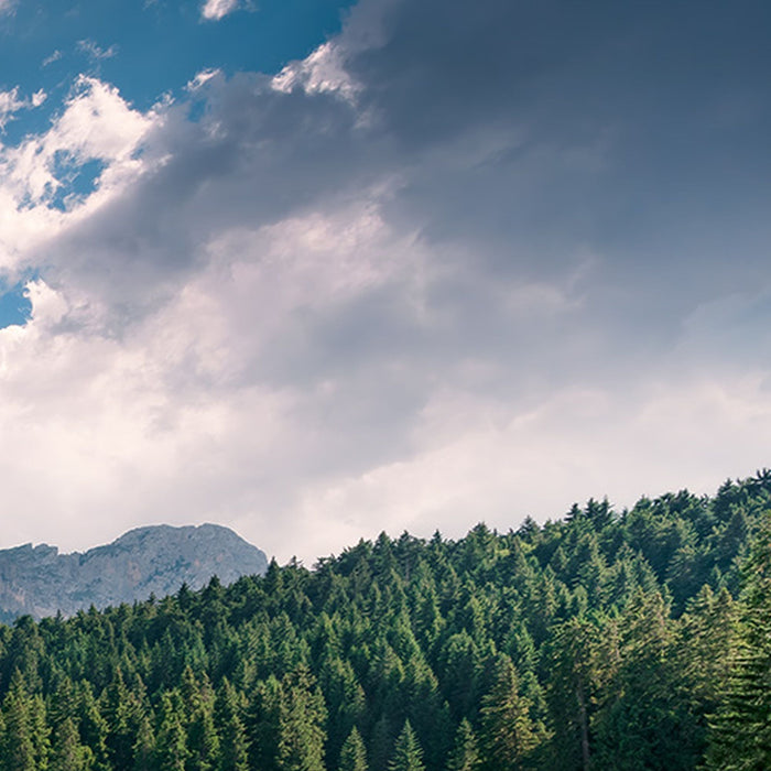 Vlies Fototapete | Dolomitenjuwel | Größe 450 x 280 cm