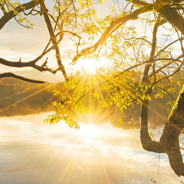 Vlies Fototapete | Golden Embrace | Größe 400 x 250 cm