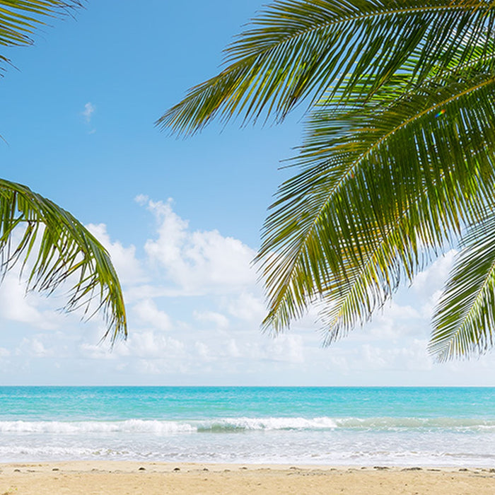 Vlies Fototapete | Caribbean Days II | Größe 450 x 280 cm