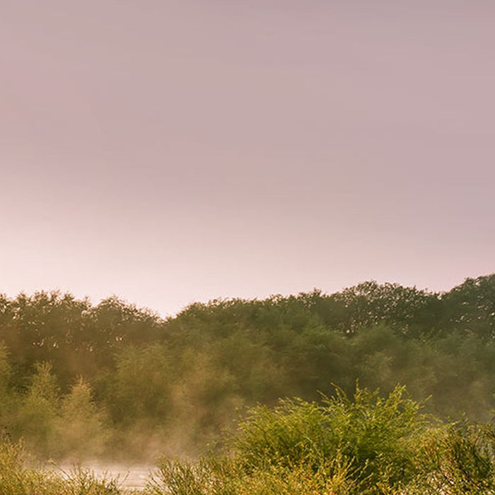 Vlies Fototapete | Morning View II | Größe 400 x 250 cm