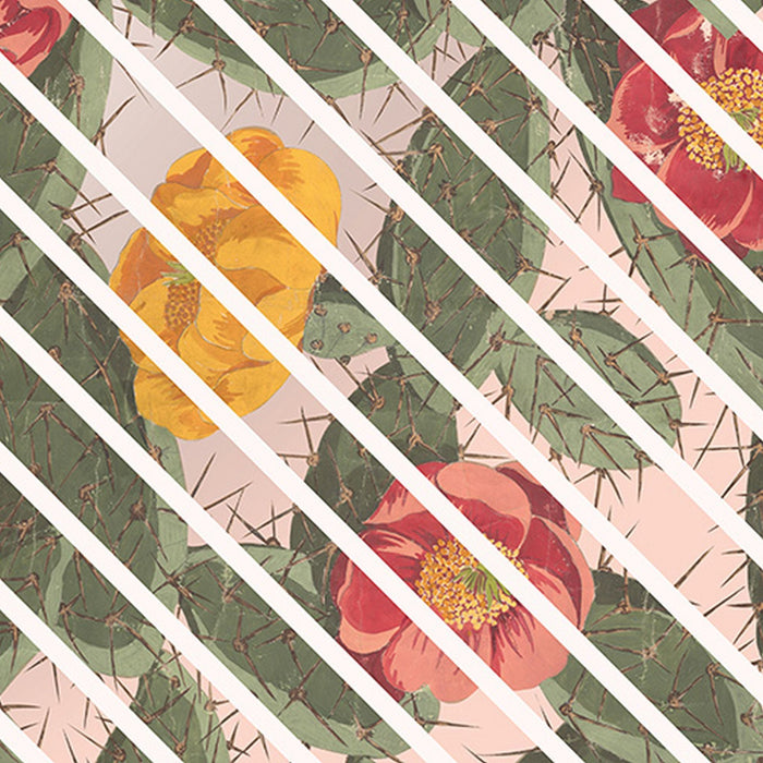 Vlies Fototapete | Cactus | Größe 300 x 280 cm