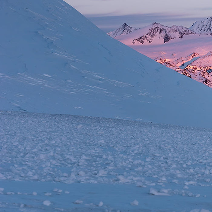 Vlies Fototapete | Purple Dinner | Größe 450 x 280 cm
