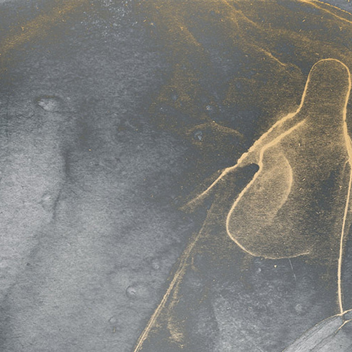 Komar | Vlies Fototapete | Ink Gold Fluid | Größe 300 x 280 cm