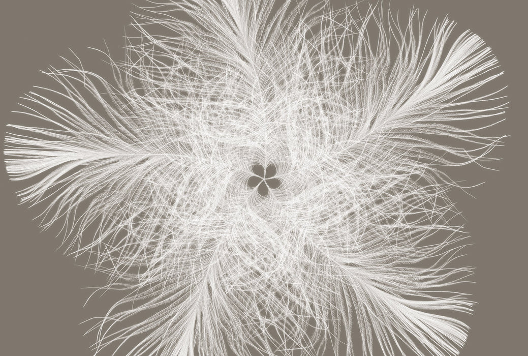 Vlies Fototapete | Federstern | Größe 368 x 248 cm