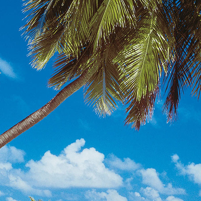 Vlies Fototapete | Maldives | Größe 300 x 250 cm