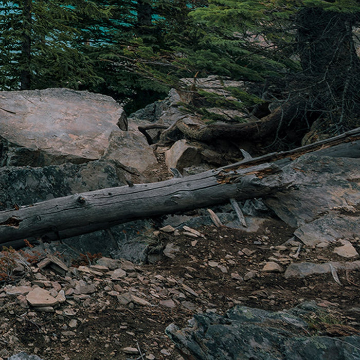 Vlies Fototapete | Magic Moraine Morning | Größe 450 x 280 cm