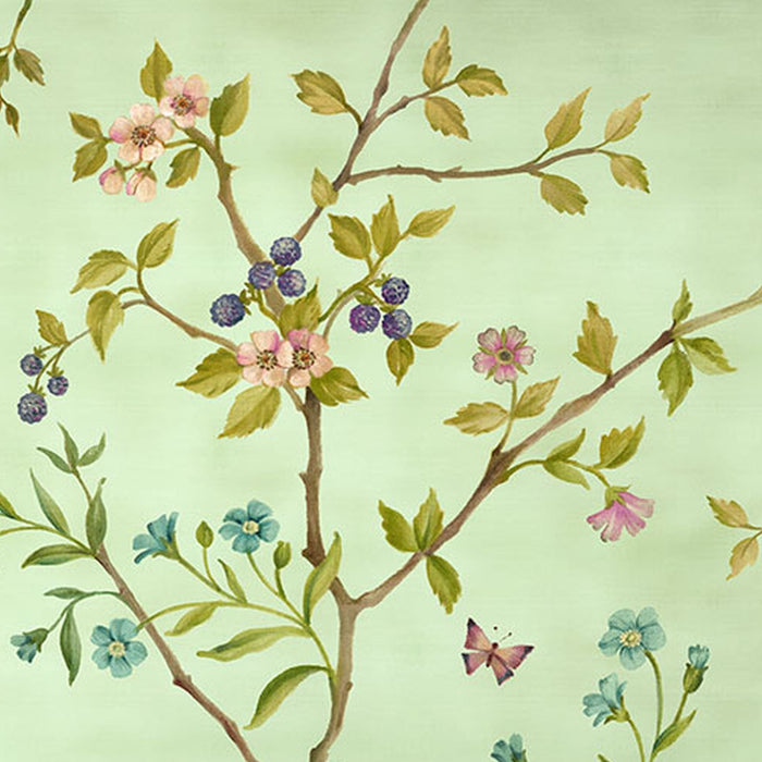 Vlies Fototapete | Oiseaux du Paradis | Größe 350 x 250 cm