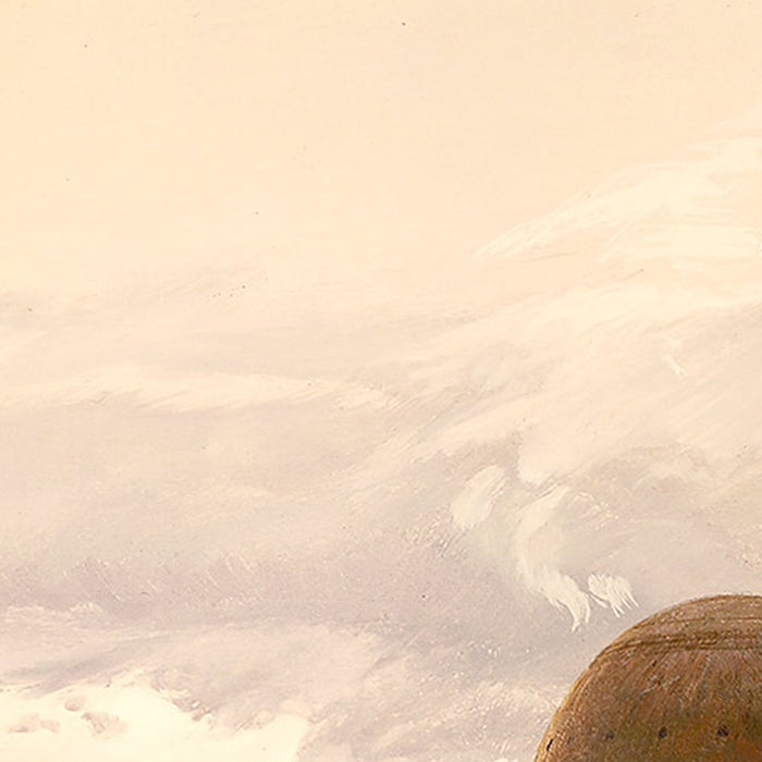 Vlies Fototapete | Star Wars Classic RMQ Jabbas Palace | Größe 500 x 250 cm