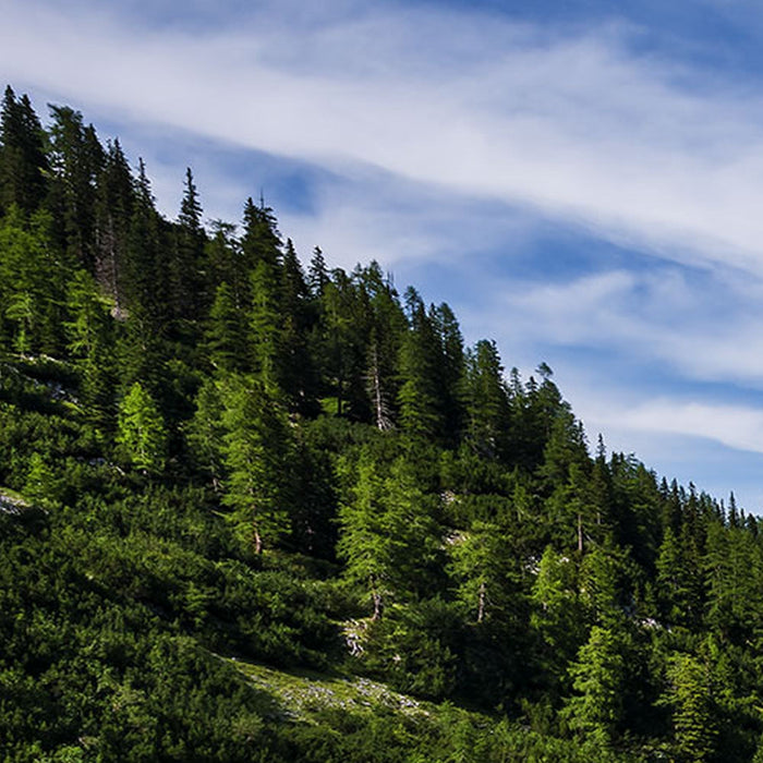 Vlies Fototapete | Paradise Lake | Größe 400 x 250 cm