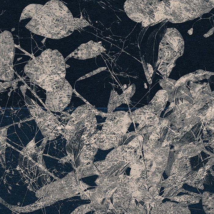 Selbstklebende Vlies Fototapete/Wandtattoo | Branch | Größe 125 x 125 cm