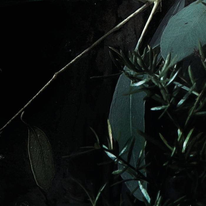 Papier Fototapete | Still Life | Größe 368 x 254 cm